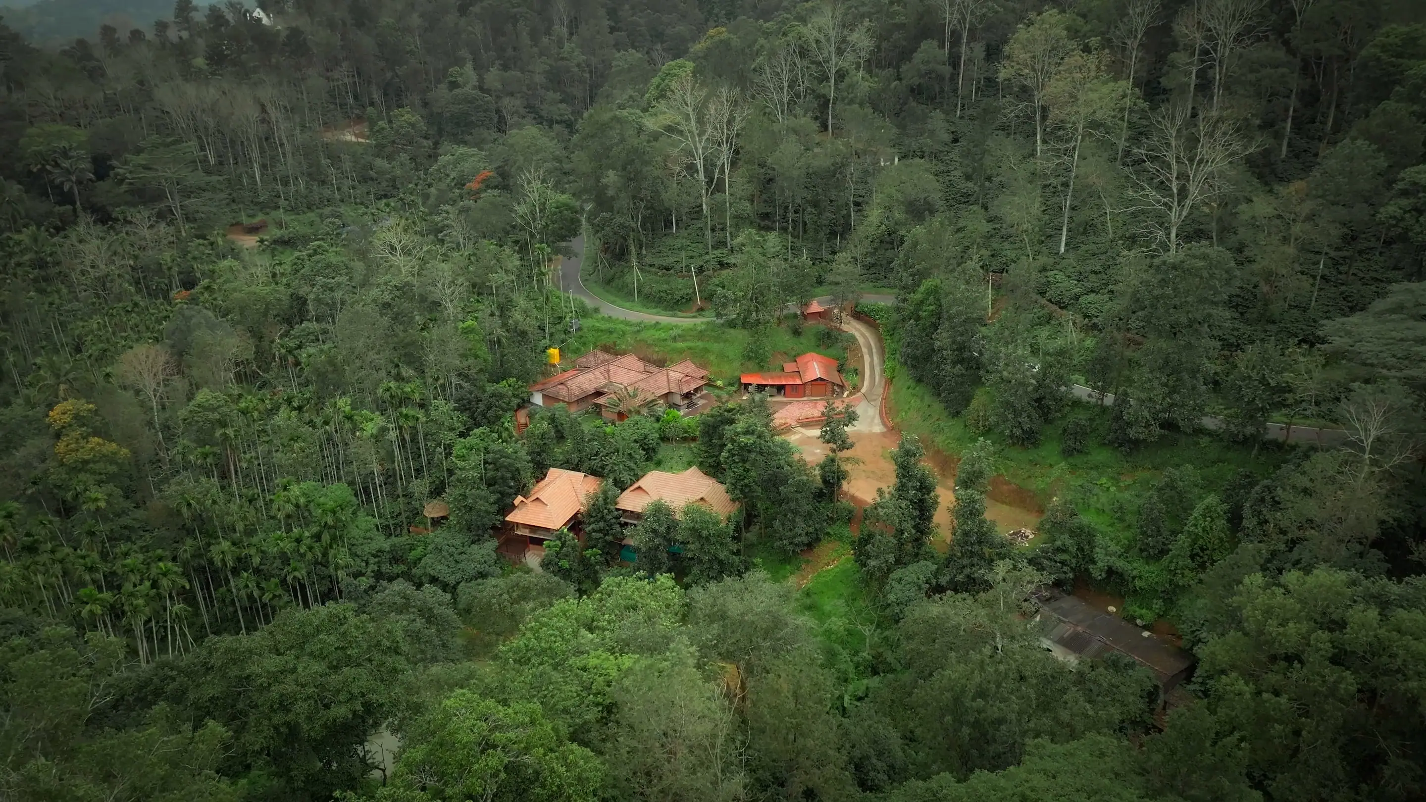 Drone view of the clay-tiled cottages in a clearing of forest and coffee, the estate track winding past