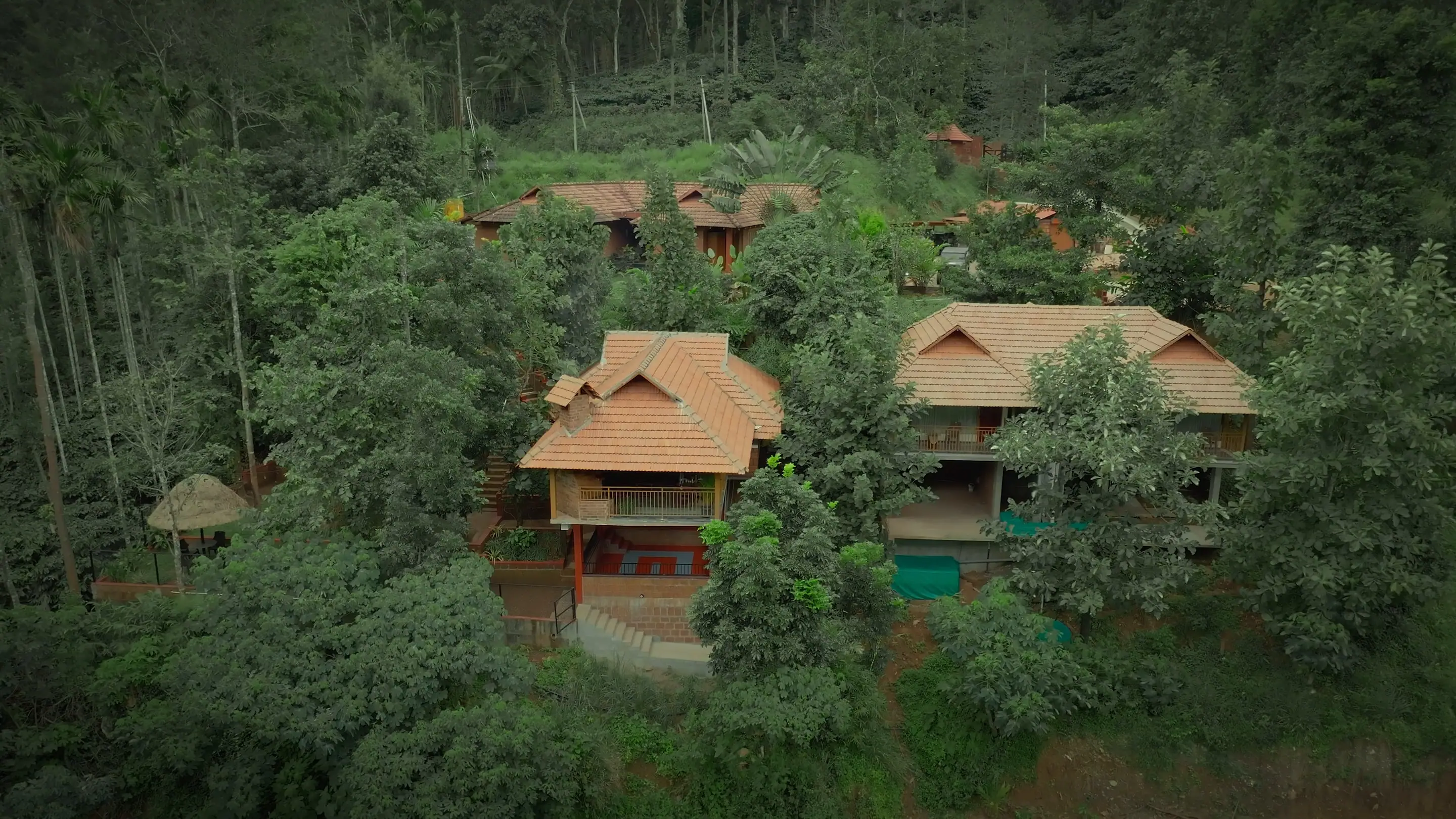 Drone view of clay-tiled cottages among tall trees on a coffee estate in South Coorg