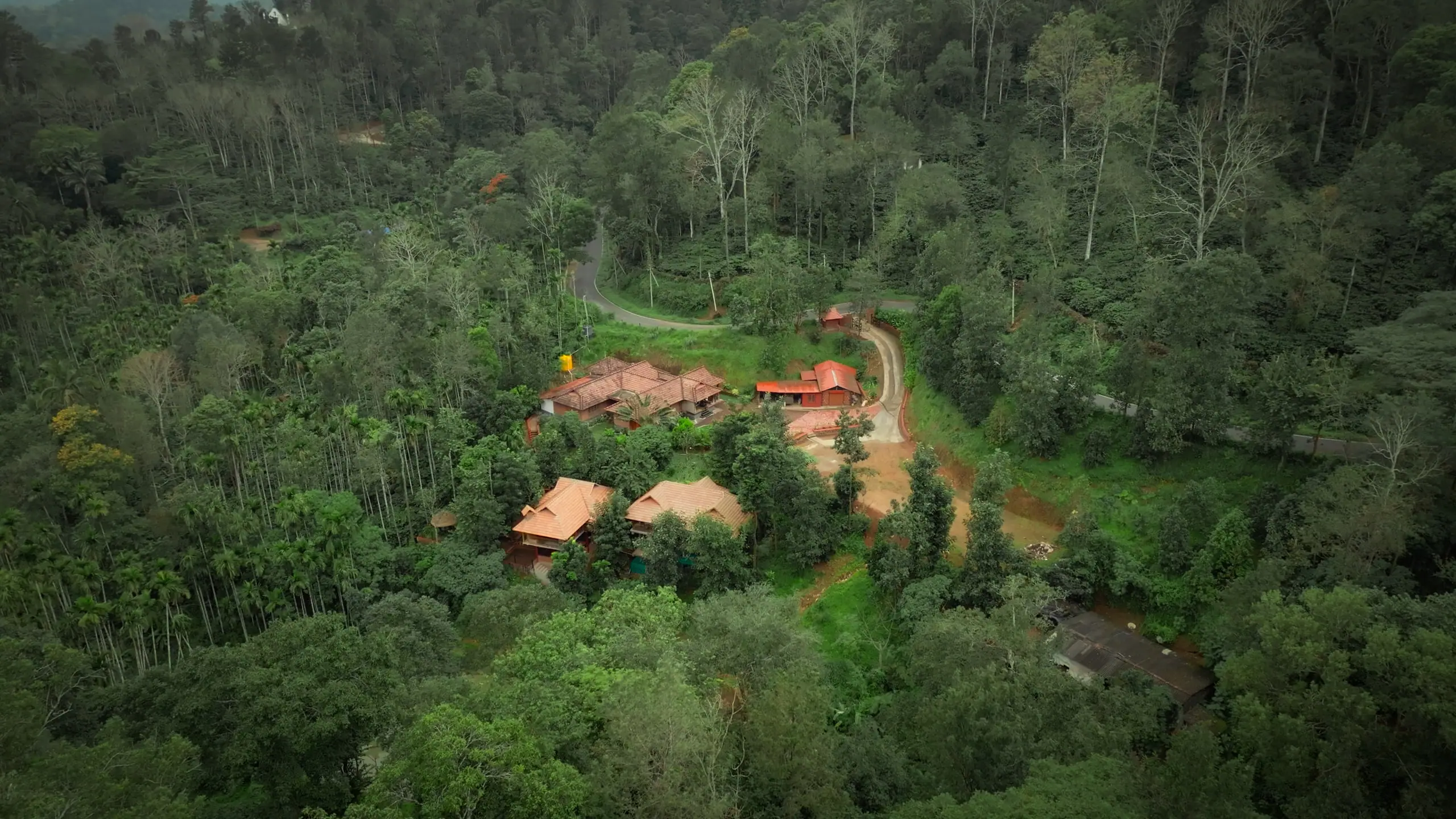 Drone view of the estate road leading to the Mokha Grove cottages