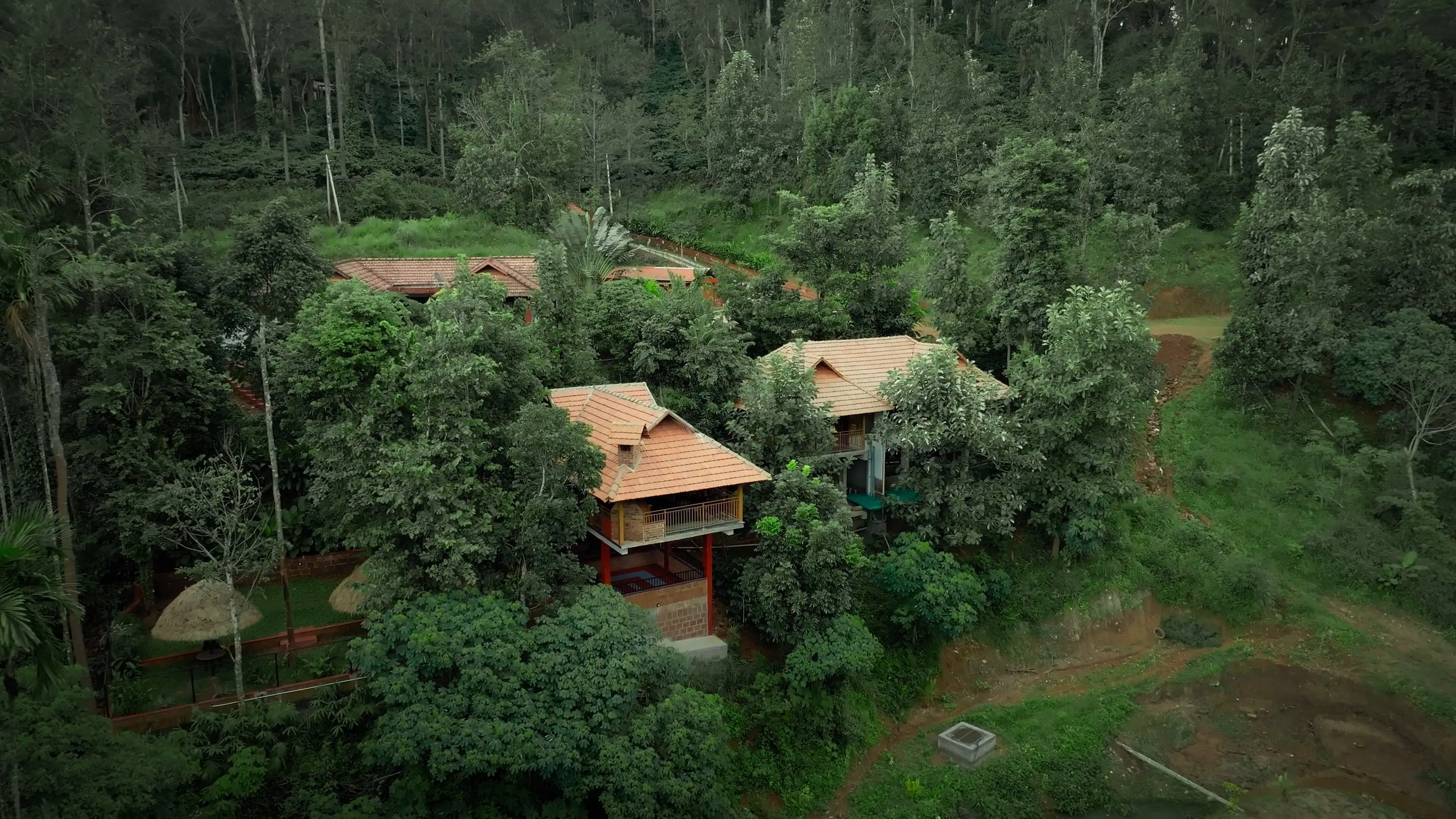 Drone view of the clay-tiled cottages in a clearing, surrounded by forest canopy and coffee