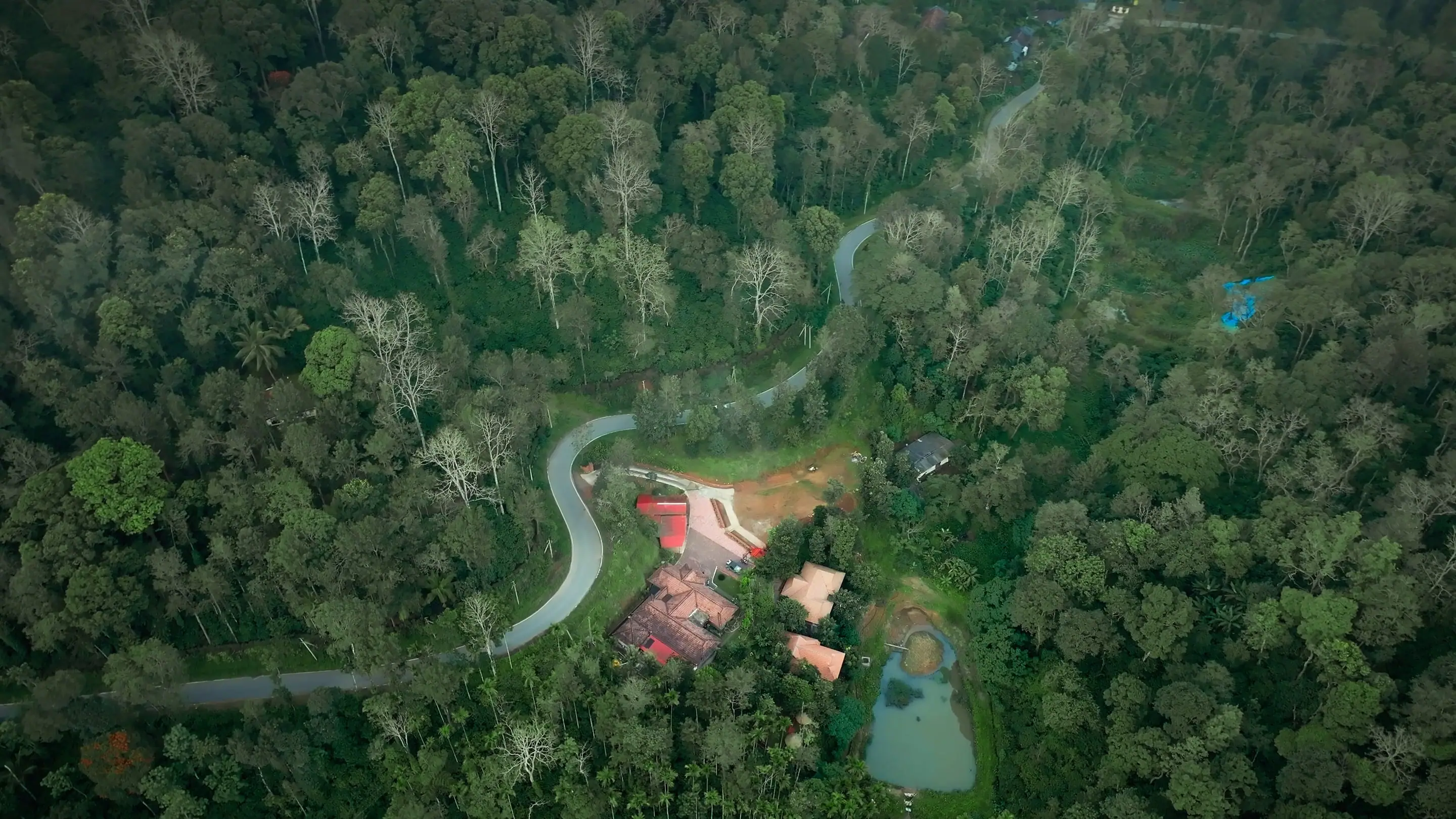 Drone view of the road curving through the coffee estate to Mokha Grove