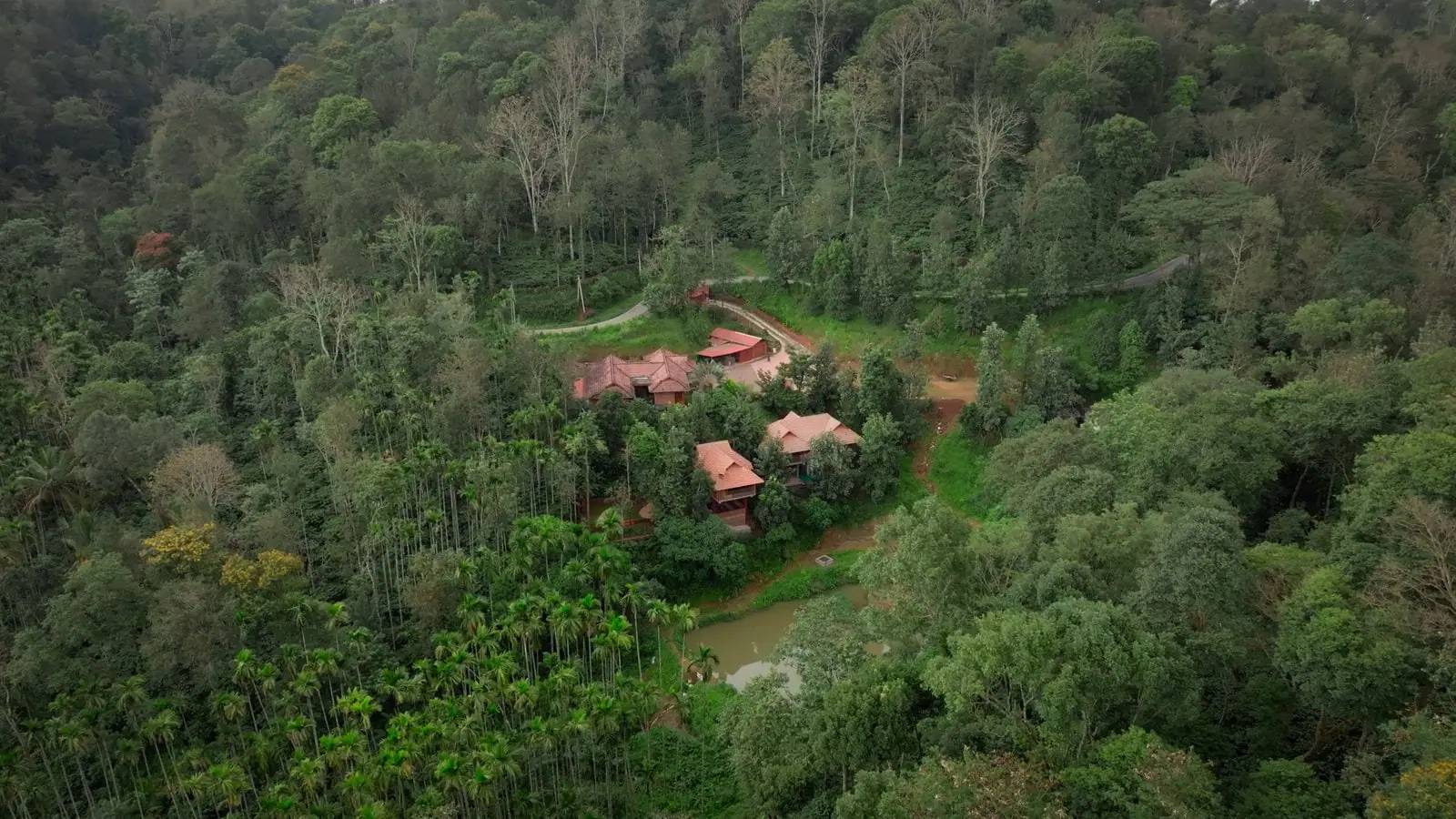 Drone view across the estate forest to the clay-tiled cottages and the pond below them