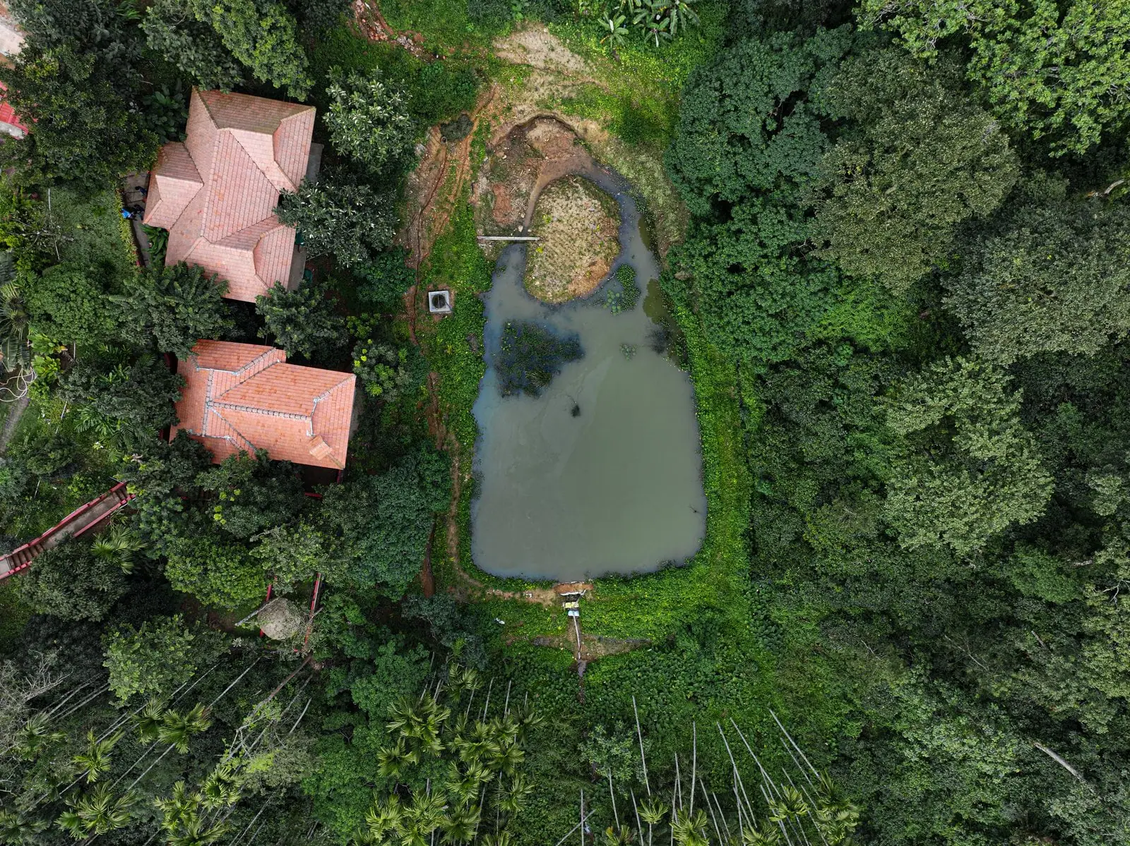 Straight down from the drone: the clay-tiled roofs beside the estate pond