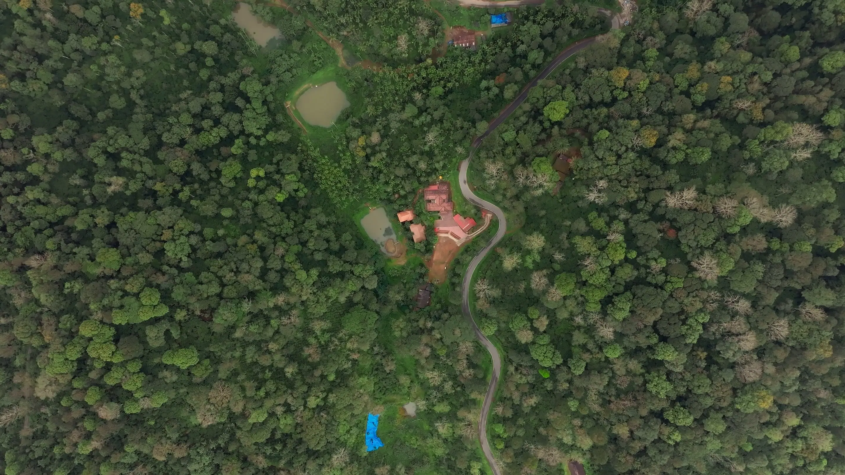 Top-down drone view of the estate track winding through forest to the clay-tiled cottages