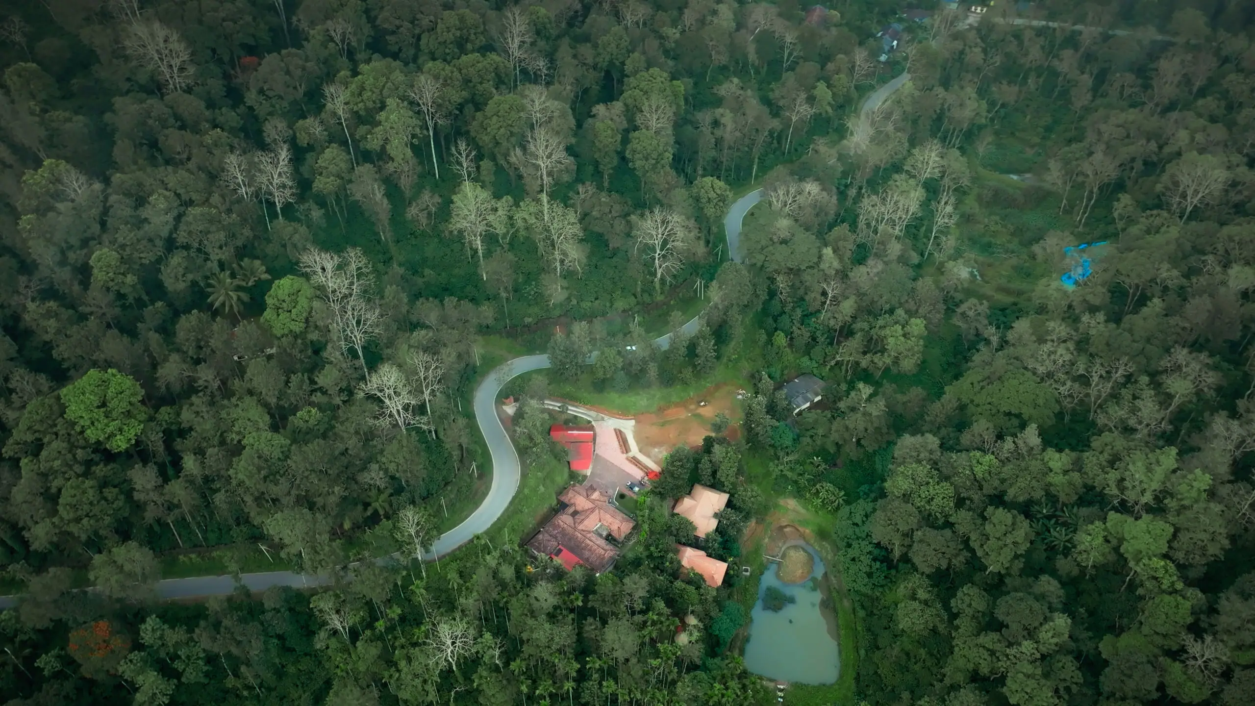 Top-down drone photograph: a road winding through dense tree canopy to a clearing with clay-tiled cottages, and a pond just below them