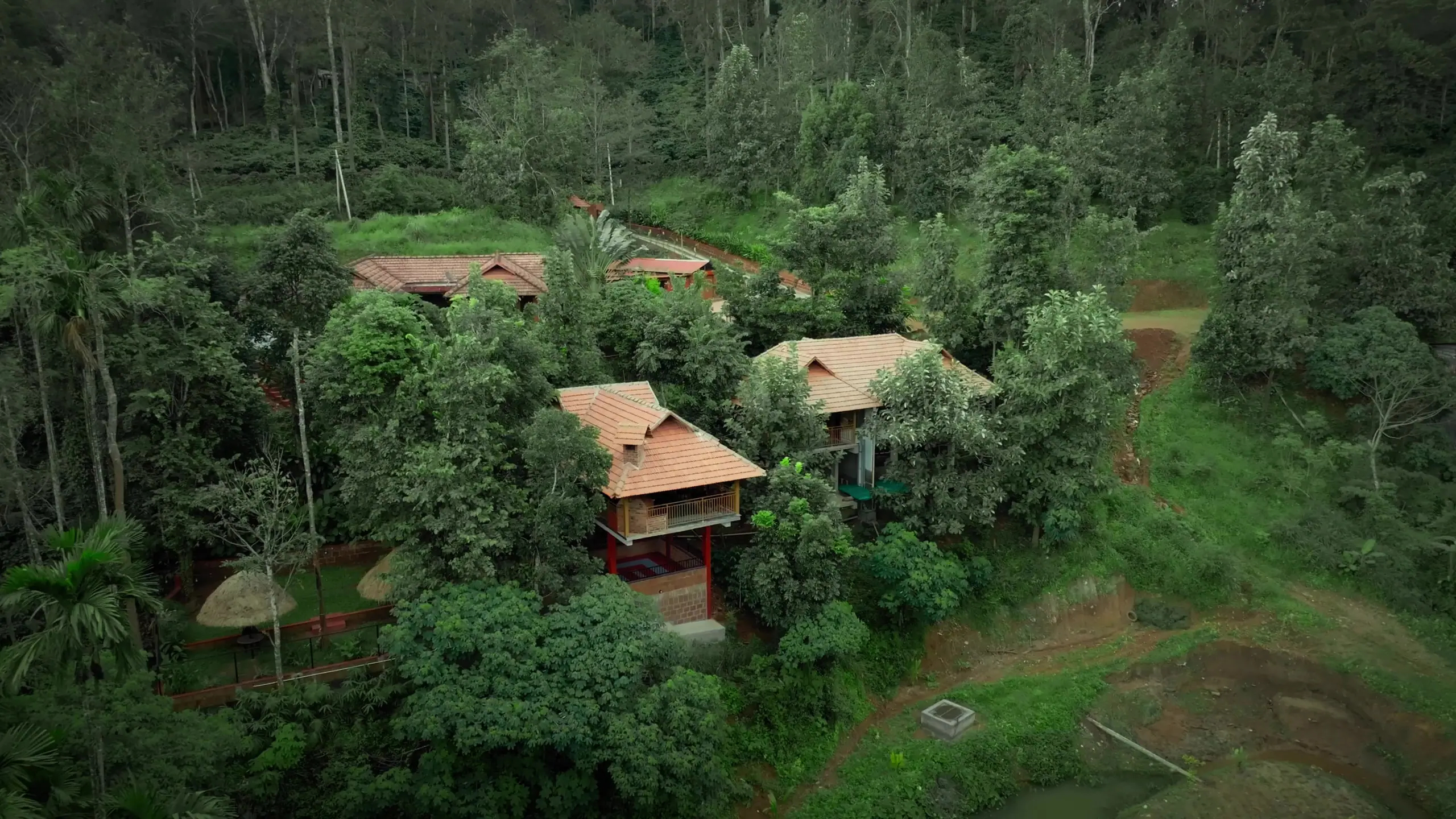 Drone view of clay-tiled cottages among dense trees on a coffee estate in South Coorg