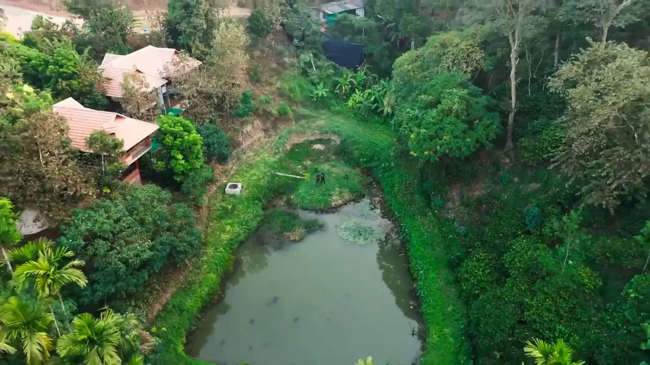 Drone footage rising from the estate pond and the clay-tiled cottages to the forest and coffee beyond