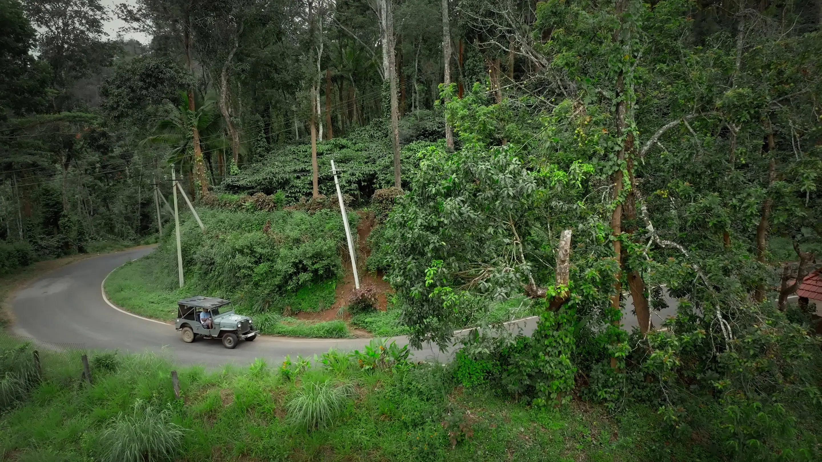 Drone view of the jeep rounding a hairpin on a road through forest and coffee