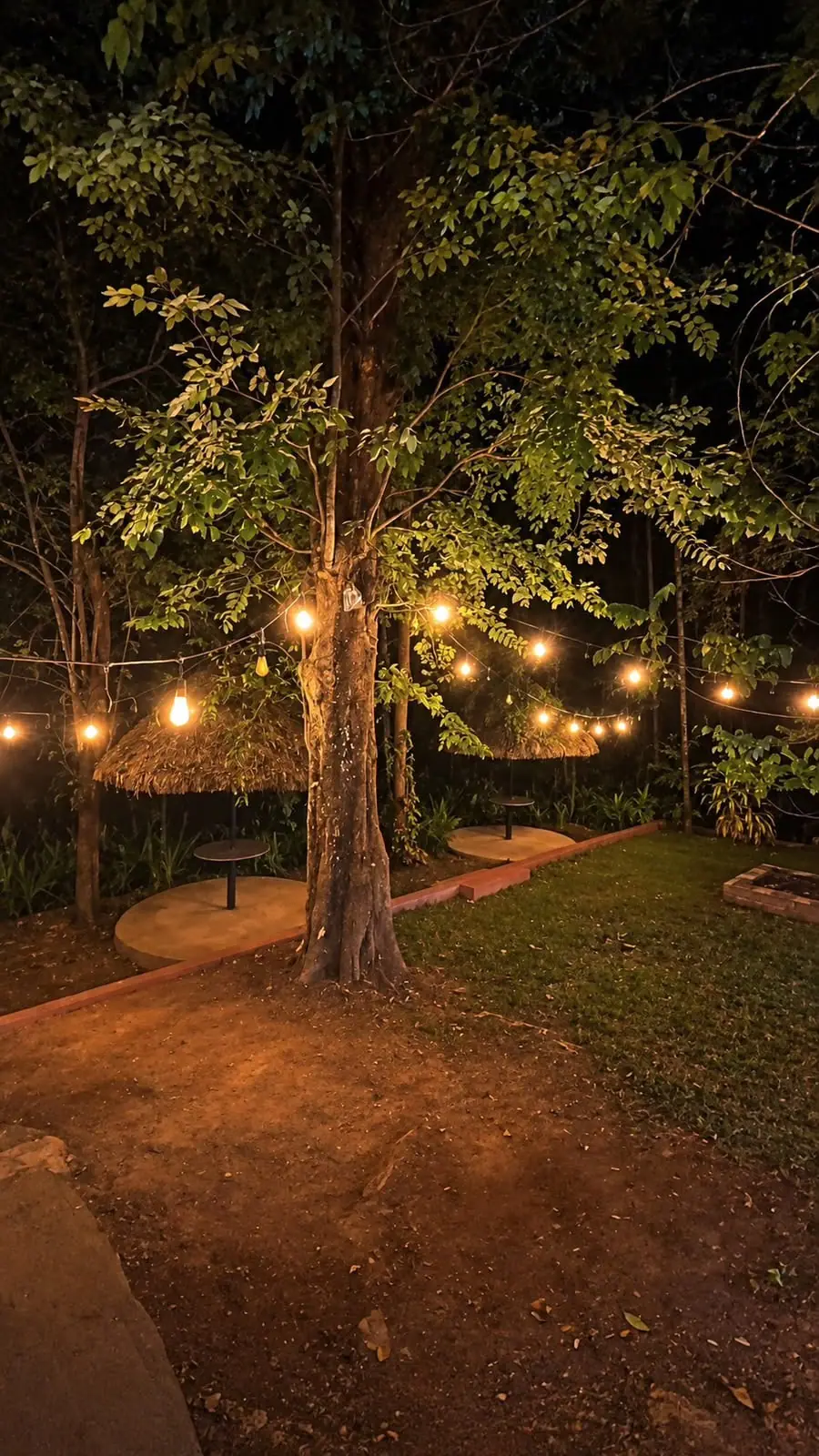 The garden at night, lit by warm lights among the trees