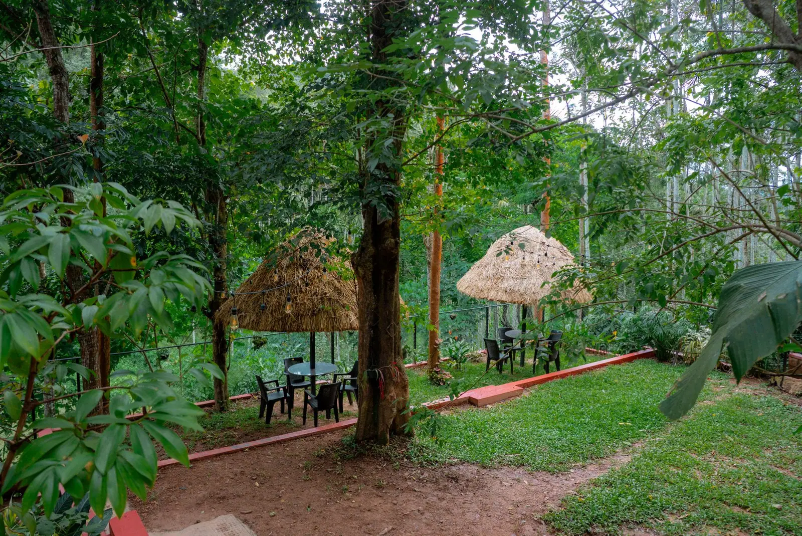 Thatched gazebos with tables and chairs on a lawn under tall trees