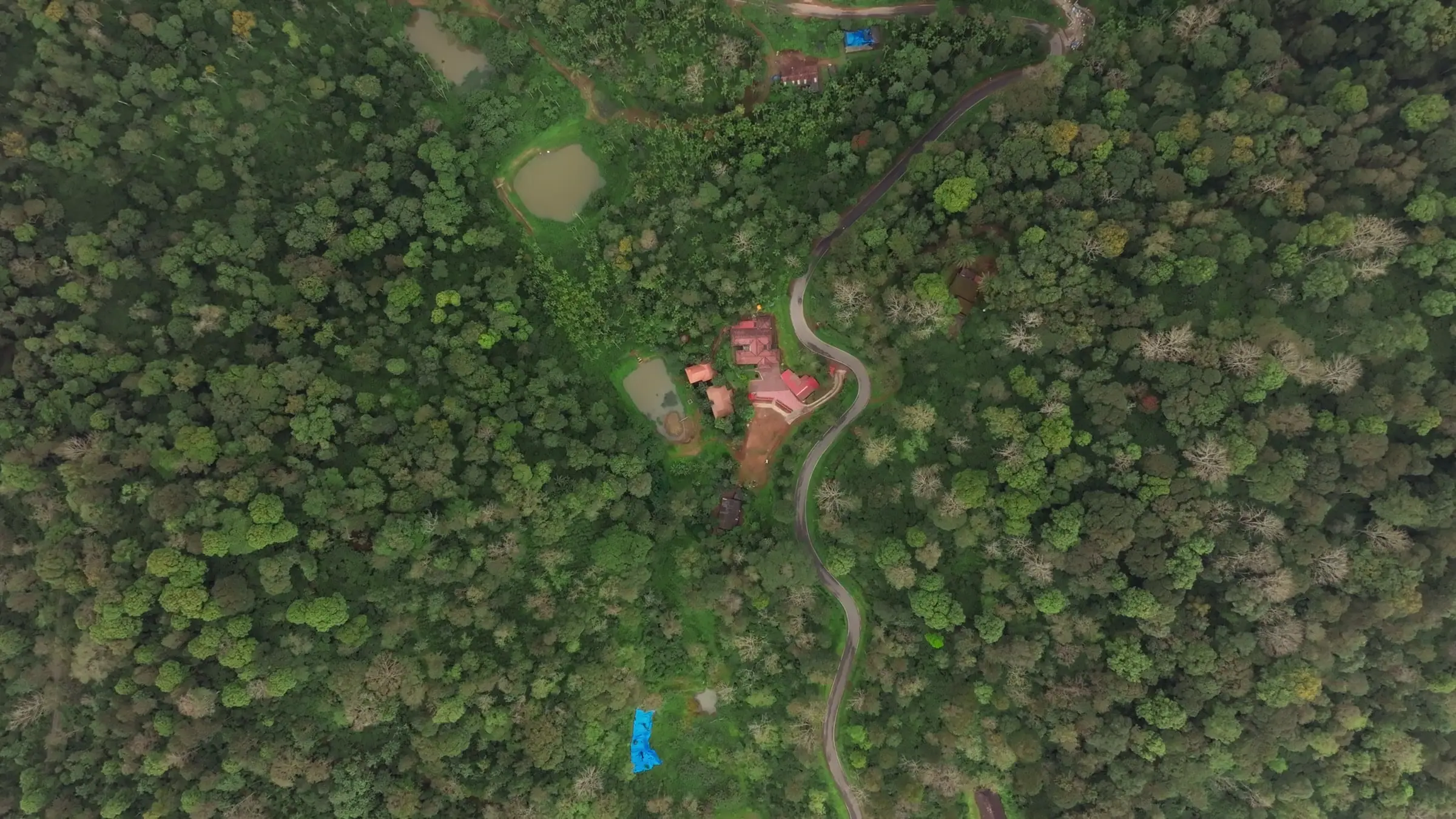 Looking straight down on Mokha Grove: clay-tiled cottages and a pond in a sea of coffee and forest canopy, the estate road curling past