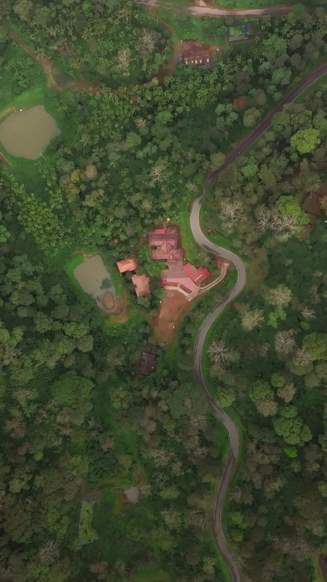 Still from the vertical Mokha Grove reel