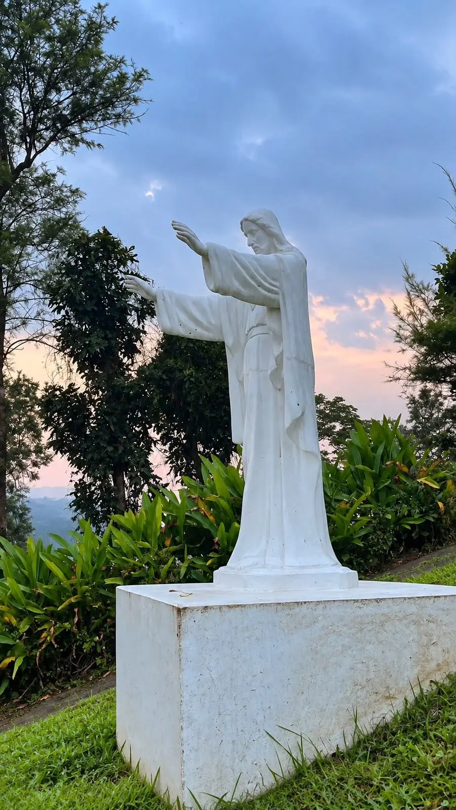 A white statue of Christ with outstretched arms on a hilltop, ginger plants around it and a pink sunset sky behind