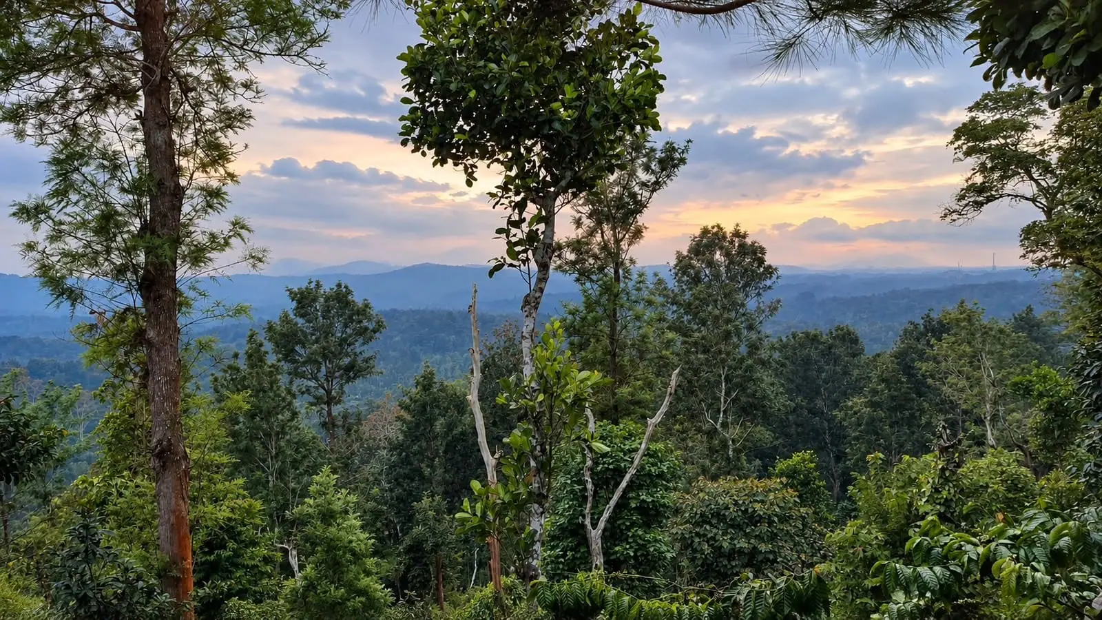 Sunset over the hills of South Coorg