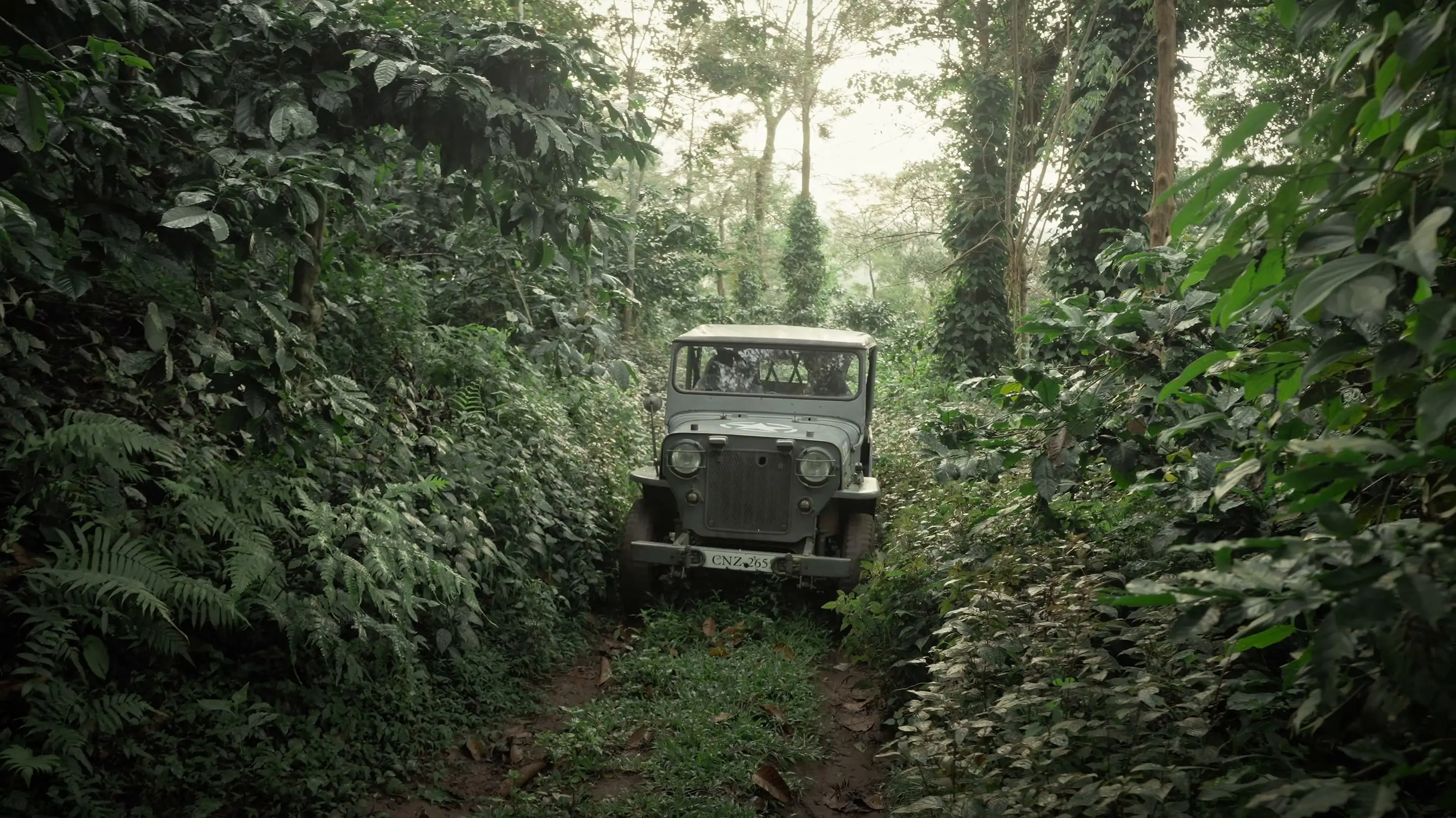 The estate jeep on a coffee trail
