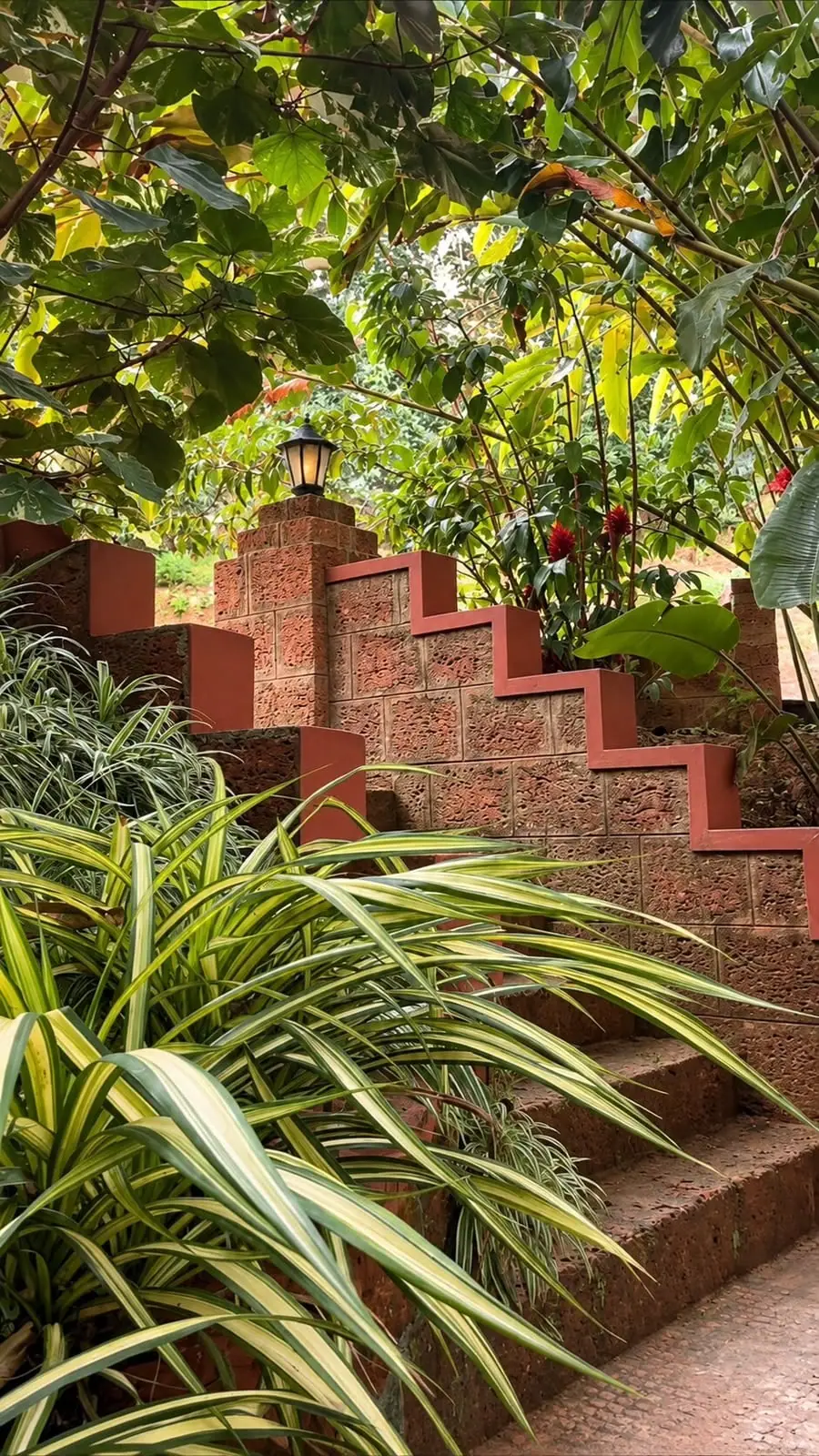 Laterite steps with red-painted edges climbing through planting to a lamp post
