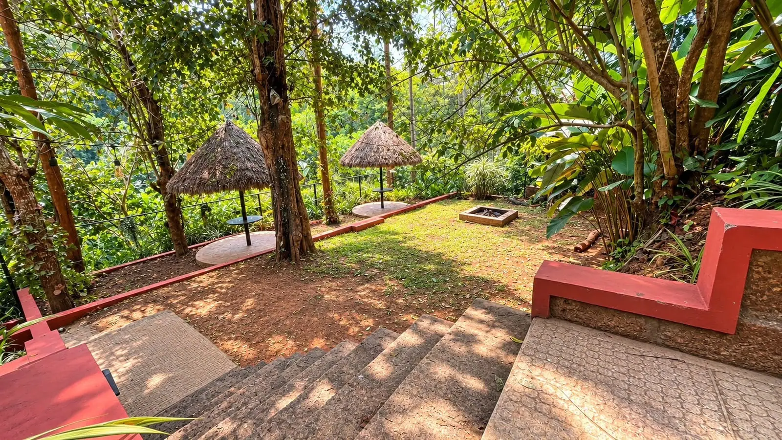Thatched gazebos on the lawn at Mokha Grove in afternoon light, tall trees behind