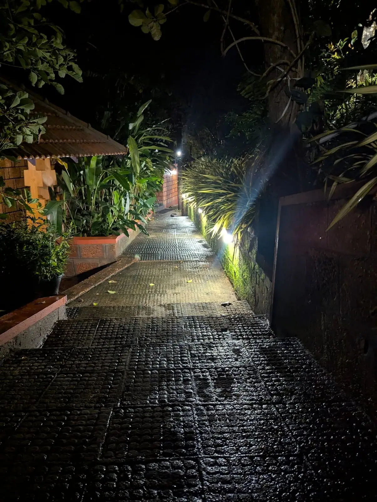 The lamp-lit path between the cottages at night, its tiles wet from rain, planting along both sides