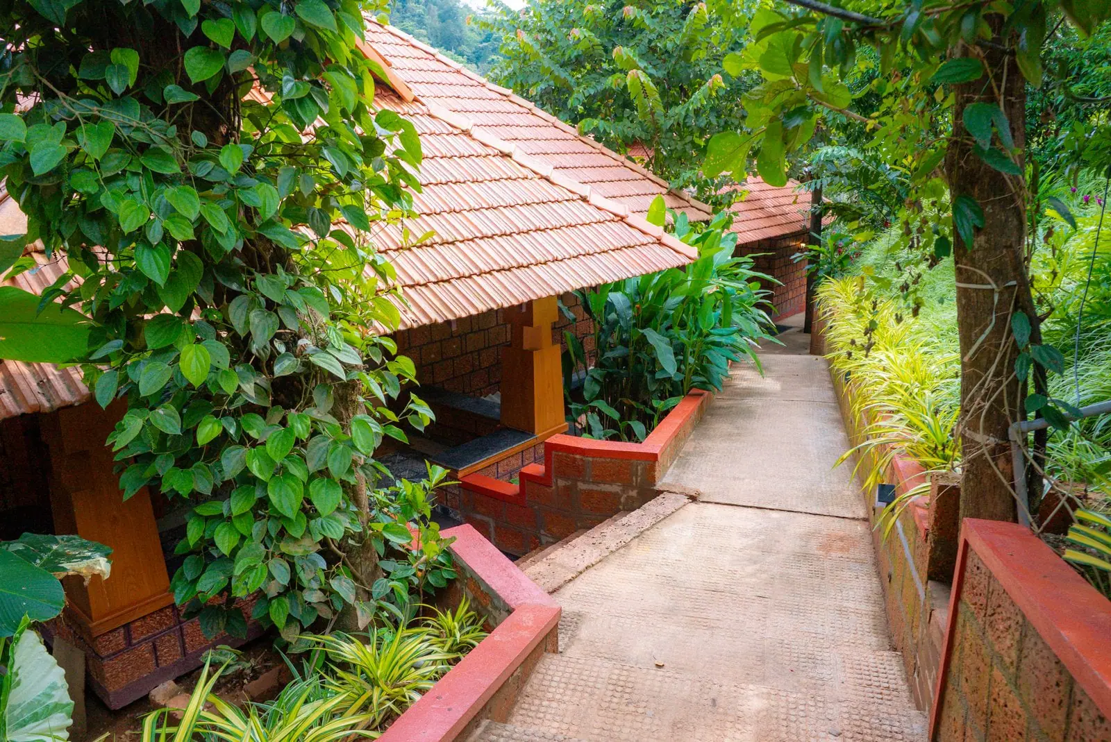 A paved path between the cottages, lined with planting